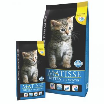 Matisse Kitten 400g