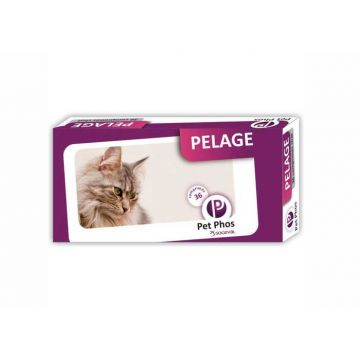 Pet Phos Felin Special Pelage, 36 tablete