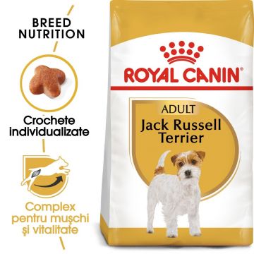 Royal Canin Jack Russell Adult, 1.5 kg