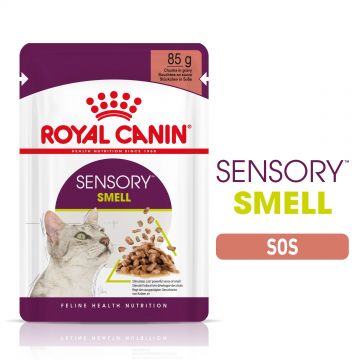 Royal Canin Sensory Smell, hrana umeda pisica (in sos), 12x85 g la reducere