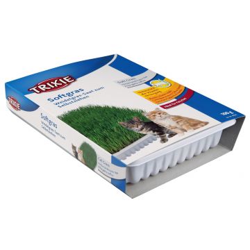 Iarba Bio 100 g Castron 4232