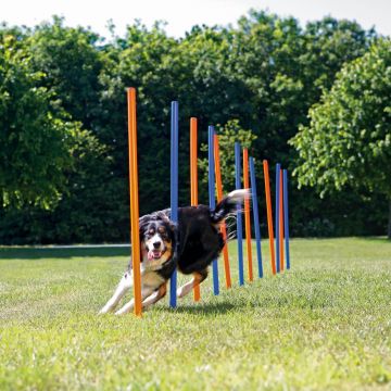 Jucarie Agility 115x3 cm 12 buc 3206