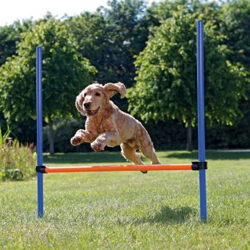 Jucarie Agility Obstacol Fier 129x115x3 cm 3207 la reducere