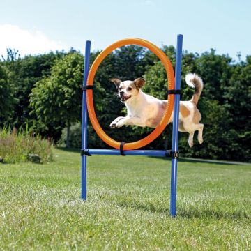 Jucarie Agility Ring 65 cm 3208