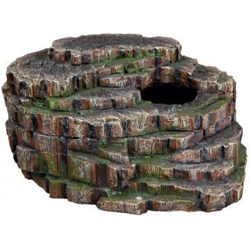 Decor Reptile cu Capac 76199