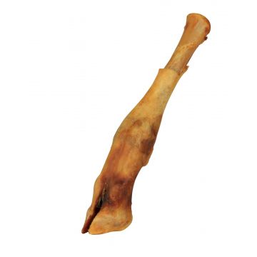 Picior de Miel 80-90 g 16-18 cm 2740