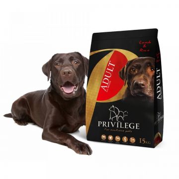 Privilege Adult All Breed, Miel & Orez, 15 kg