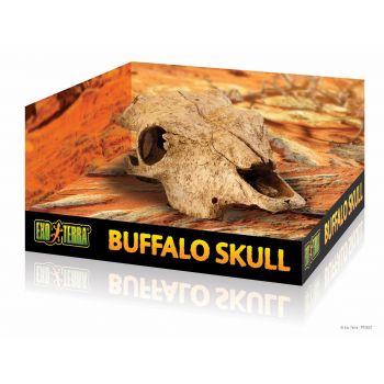 Decor pentru terariu Exo Terra Buffalo Skull 11.2x23x23cm