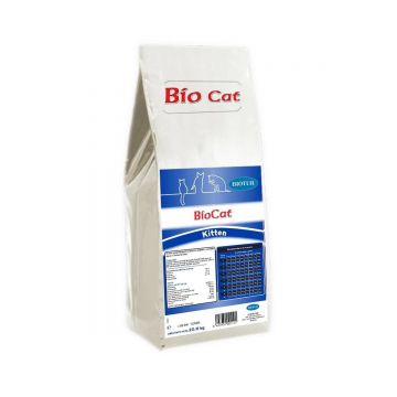 Bio Cat Kitten, 20 kg