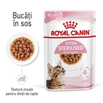 Royal Canin Kitten Sterilised hrana umeda pisica (in sos), 12 x 85 g