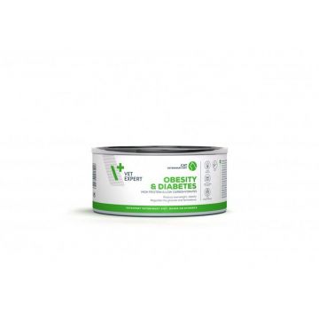 4T Dieta Veterinara Pisici Obesity & Diabetes, Vetexpert, 100 g de firma originala