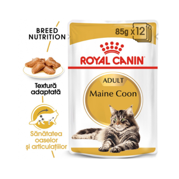 Royal Canin Maine Coon Hrană Umedă Pisică 85 g