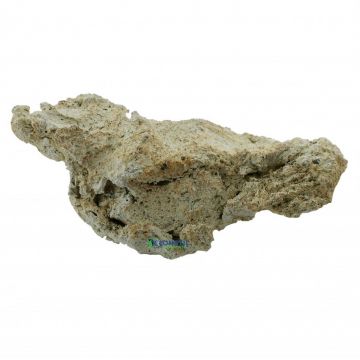 Aquaroche Reef - Ecoreef plate - kg