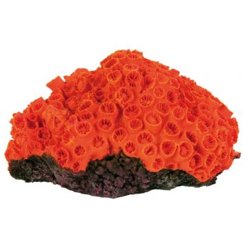 Decor Coral 4 buc/set 10-13 cm 8809