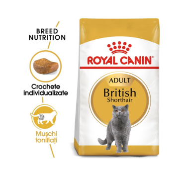 Royal Canin British Shorthair Adult hrana uscata pisica 10 kg + hrana umeda 12x85g