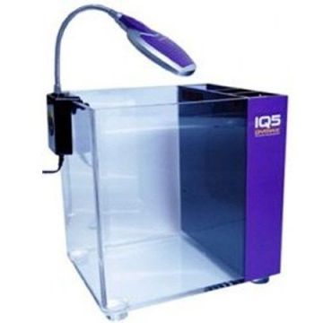Dymax IQ5/Mini acvariu acril cu filtru intern Purple Amethyst