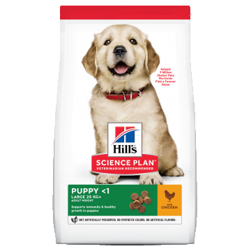 Hill's SP Canine Puppy Large Breed Chicken, 800 g