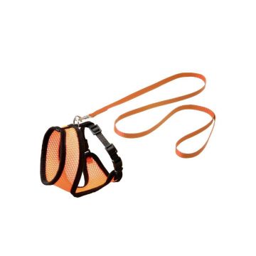 Set Ham+Lesa Pentru Pisica, Flamingo, Orange/Black 110cmx10mm