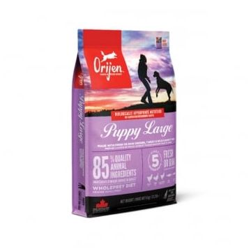ORIJEN Puppy Large Breed, L-XL, Pui și Curcan, hrană uscată fără cereale câini junior, 11.4kg