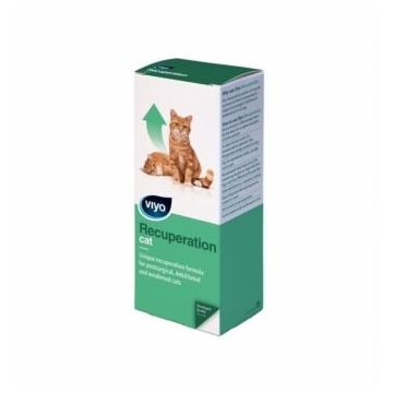 Viyo Recuperation Cat x 1 fl