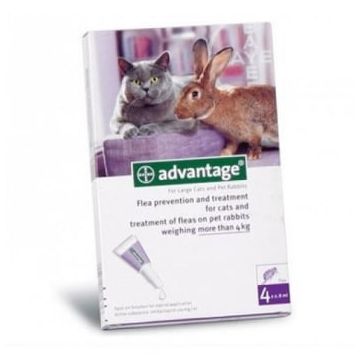 Advantage Pisica/Iepure 80, > 4 kg, 4 pipete