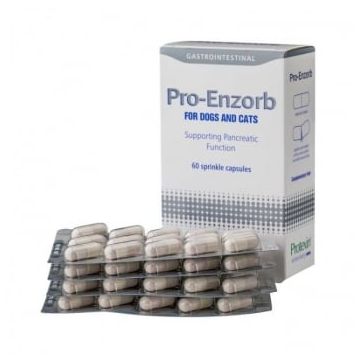 Supliment Nutritiv Pro-Enzorb, 60 capsule