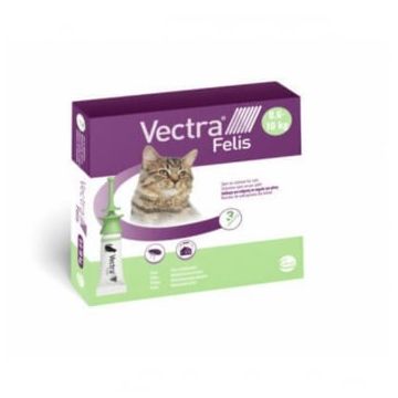 Vectra Felis, spot-on, soluție antiparazitară, pisici, 3 pipete