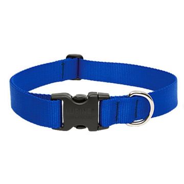 Zgarda Nylon Caini Blue Click 15 mm x 30-45 cm