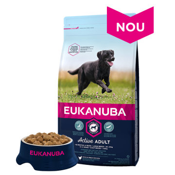 Eukanuba, Adult Large cu Pui, 12 kg + 2 kg Gratis