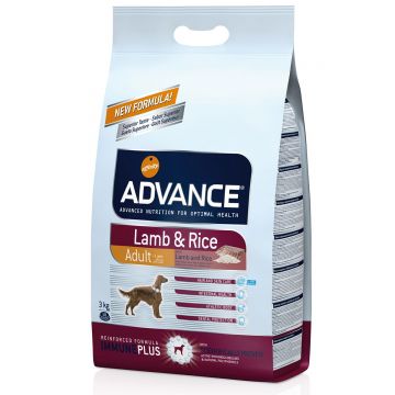 Advance Dog Miel & Orez
