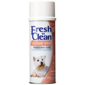 Fresh'n Clean Spray Colonie Floral Scent, 170 g