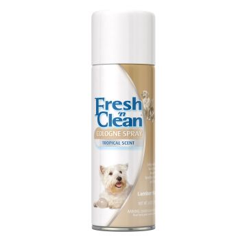 Fresh'n Clean Spray Colonie Tropical, 170 g