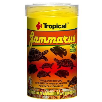 Tropical Gammarus, 100 ml/ 12 g