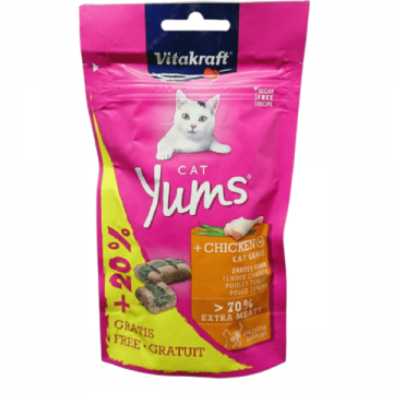 Recompense pentru pisici Vitakraft Yums Ficat 48g PROMO