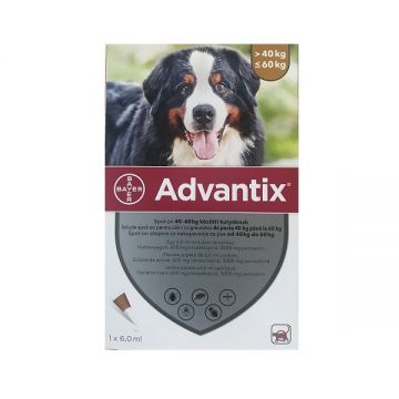 Advantix 600 Caini (40 - 60 kg), 1 pipeta la reducere