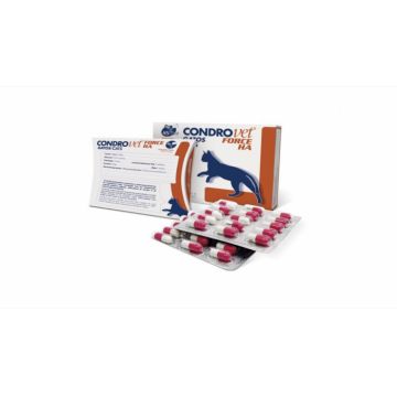 Condrovet Force HA pisica, 45 capsule de firma original