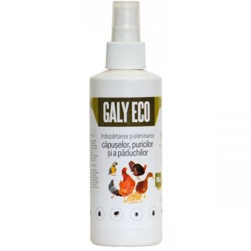 Galy Eco Spray 100ml