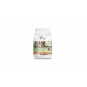 Hrana Uscata, RAW PALEO Medium Puppy 2.5 kg la reducere