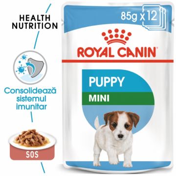 Royal Canin Hrana Umeda Mini Puppy 12x85 g la reducere