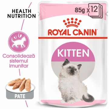 ROYAL CANIN Kitten in Loaf Pouch 12 plicuri x 85 g ieftina