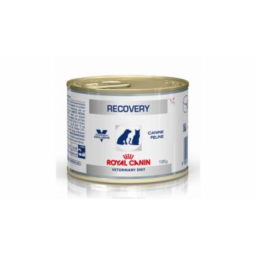 Royal Canin Recovery Dog Cat 195 g ieftina