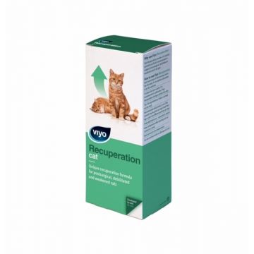 Viyo Recuperation Cat -150 ml la reducere