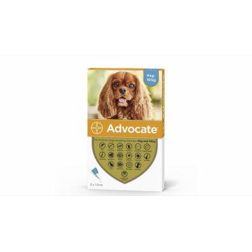 Advocate 100 Caine (4 - 10 kg), 3 pipete ieftina