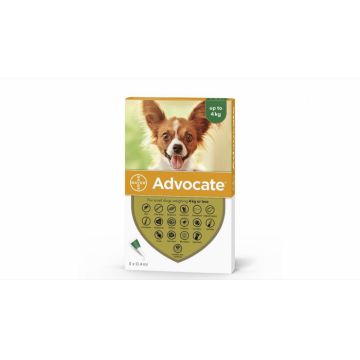 Advocate 40 Caine (0 - 4 kg), 3 pipete