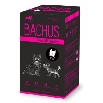Bachus Small Healthy, 60 tablete