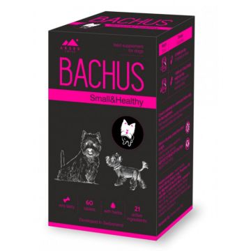 Bachus Small Healthy, 60 tablete la reducere