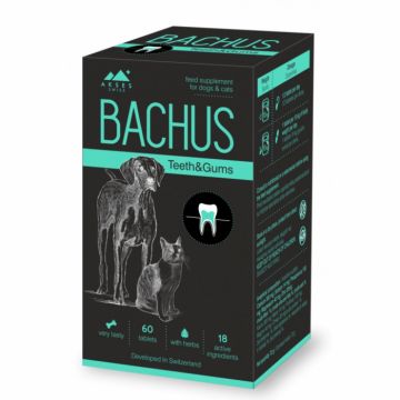 Bachus Teeth Gums, 60 tablete la reducere