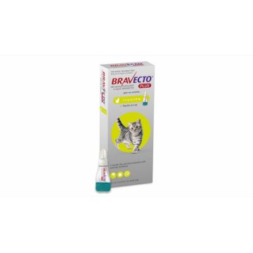 Bravecto Plus Spot On Cat 112.5 mg (1.2 - 2.8 kg), 1 pipeta de firma original