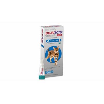 Bravecto Plus Spot On Cat 250 mg (2.8 - 6.25 kg), 1 pipeta de firma original