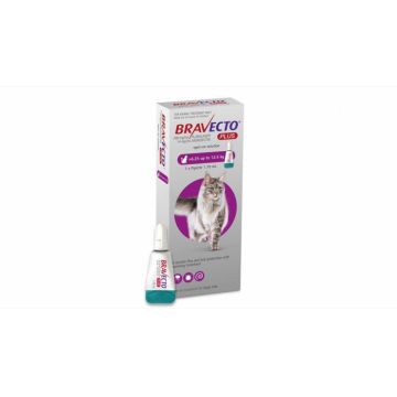 Bravecto Plus Spot On Cat 500 mg (6.25 - 12.5 kg), 1 pipeta